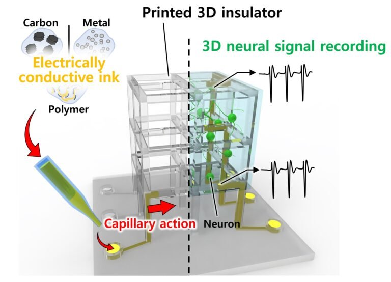 Herstellung maßgeschneiderter 3D-Neuralchips gelungen