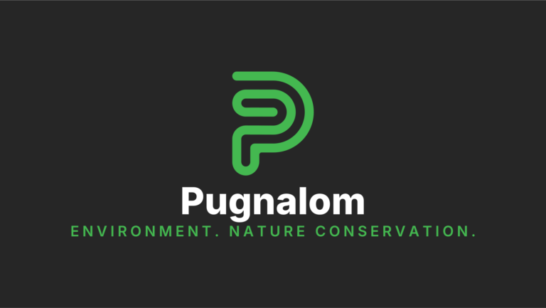 Warum Pugnalom lesenswert ist