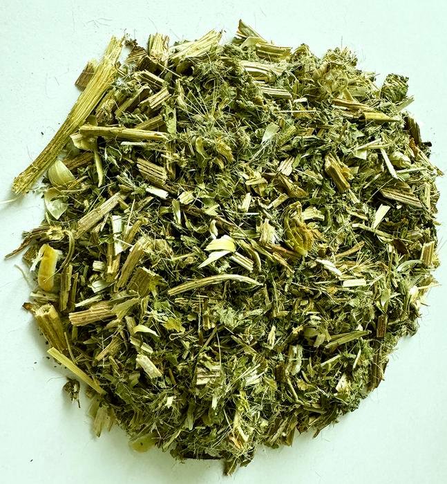 Mariendistel fördert funktionelle Nervenregeneration