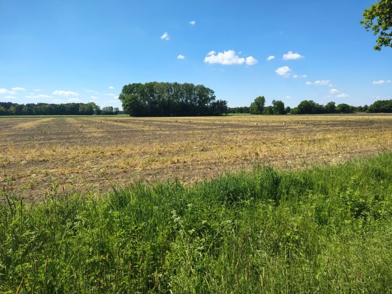 Glyphosat: Gesundheitsgefahren und Krebsrisiko