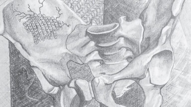 Sabrina Kopf: Bakterien und Textilfasern können Knochen heilen